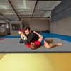 image:imageBalanceFrom 10x4 Feet 4Panel Folding Gymnastics Mat  2Inch Thick Pad with Vinyl Surface and Carrying Handles for Tumbling Yoga Pilates Home Workouts and Martial ArtsGray