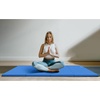 image:imageBalanceFrom 6x4 Feet 4Panel Folding Gymnastics Mat  2Inch Thick Pad with Vinyl Surface and Carrying Handles for Tumbling Yoga Pilates Home Workouts and Martial ArtsBlue