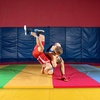 image:imageBalanceFrom 6x4 Feet 4Panel Folding Gymnastics Mat  2Inch Thick Pad with Vinyl Surface and Carrying Handles for Tumbling Yoga Pilates Home Workouts and Martial ArtsMultiColor