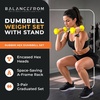 image:imageBalanceFrom Neoprene Coated Iron Dumbbell Hex Weights Set with Stand  ColorCoded or Black Options with NonSlip Grip for Strength Training Resistance Workouts and Home Gym Fitness235lb Set