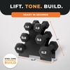 image:imageBalanceFrom Neoprene Dumbbell Set with Rack  NonSlip Strength Training Weights for Home Gym amp Fitness Equipment Multiple Sizes32LBS