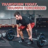 image:imageFitvids 2Inch Olympic Bumper Plates SetBlack